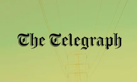 Telegraph Rugby News